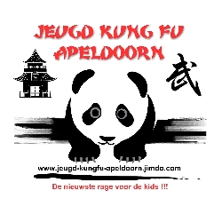 Afbeelding › Jeugd Kungfu "Panda" Apeldoorn (vechtsport)