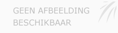Afbeelding › Your Workout